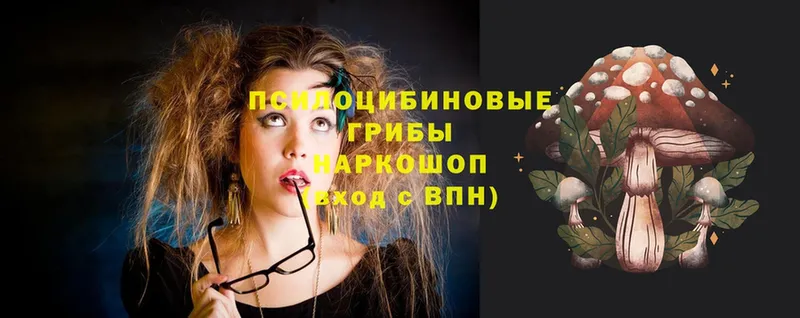 Псилоцибиновые грибы Psilocybe  Сорочинск 